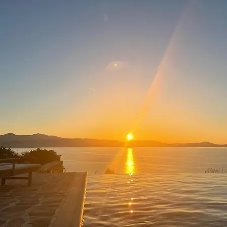 Elanora Stelida (Naxos)